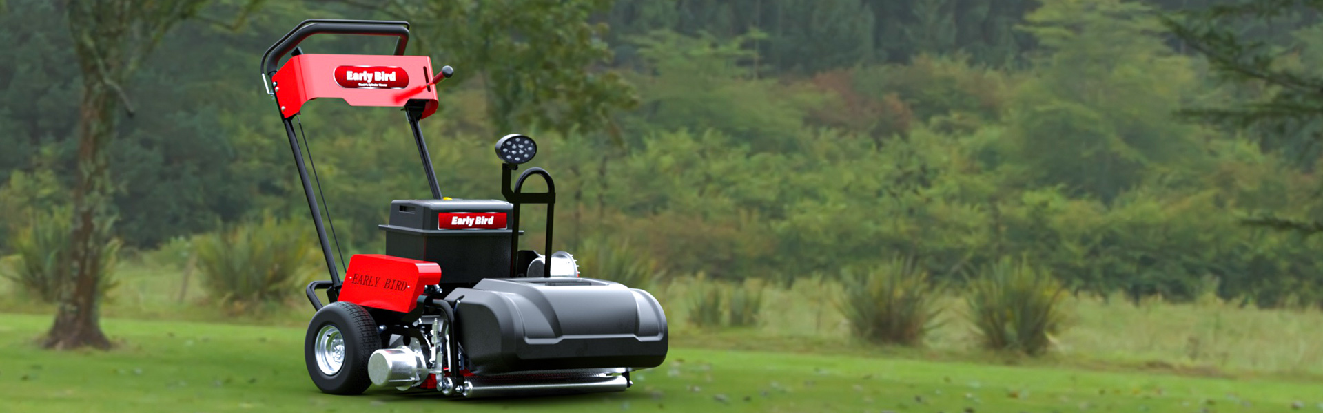 Professional Performance